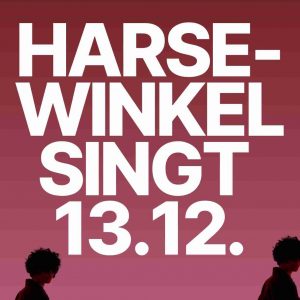 13.12.2025 - Harsewinkel - "Harsewinkel singt!"